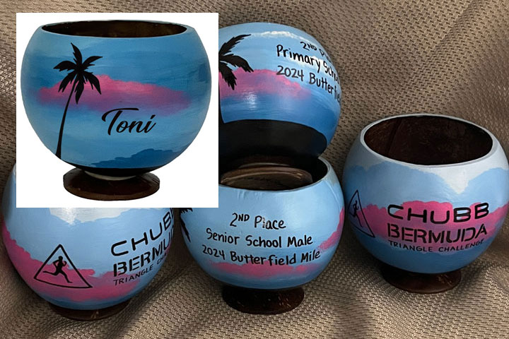 painted coconut art
