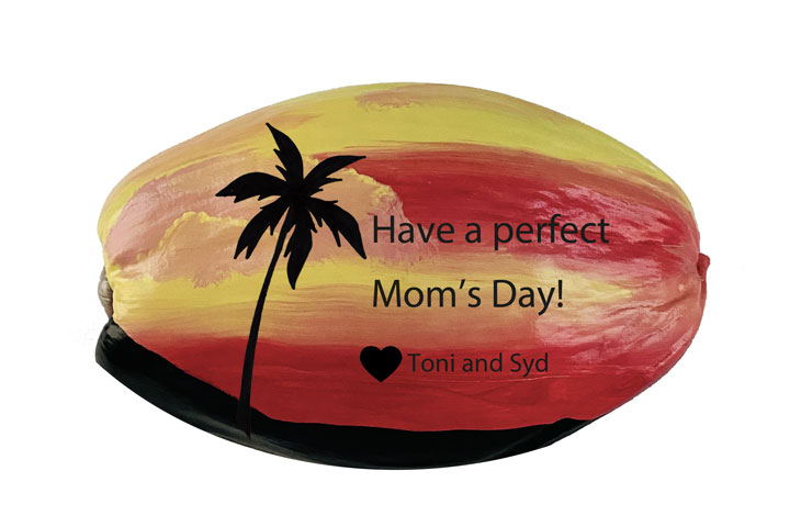 Painted coconuts mothers day environmentally friendly gift ideas